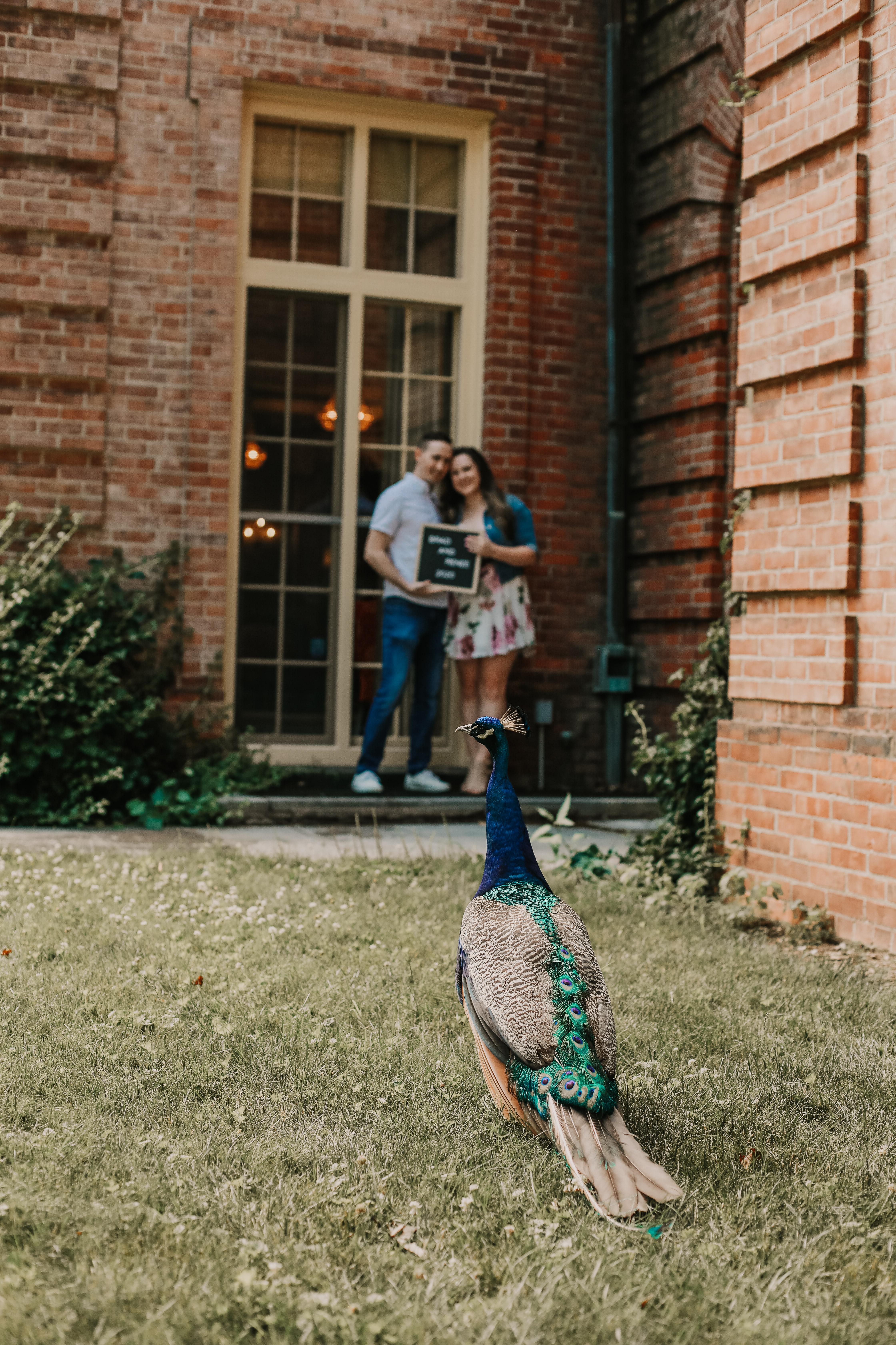 The Wedding Website of Brad Walker and Renee Davis