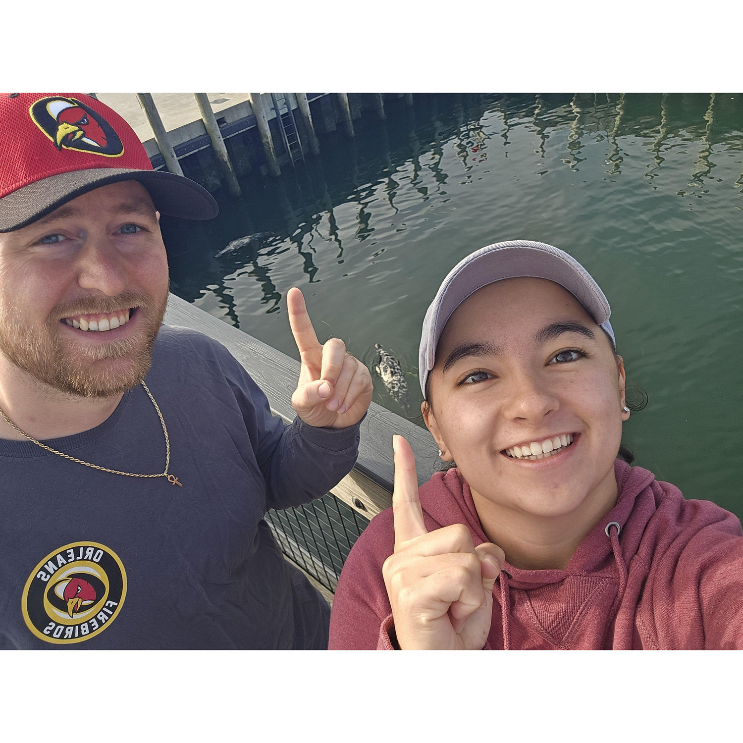 Some seals we found on the Cape.