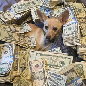 Our honeymoon fund (Venmo payments)