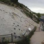 Dinosaur Ridge