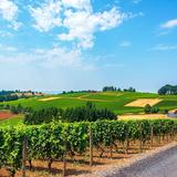 Willamette Valley Wine Country