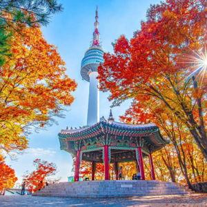 Honeymoon Experiences