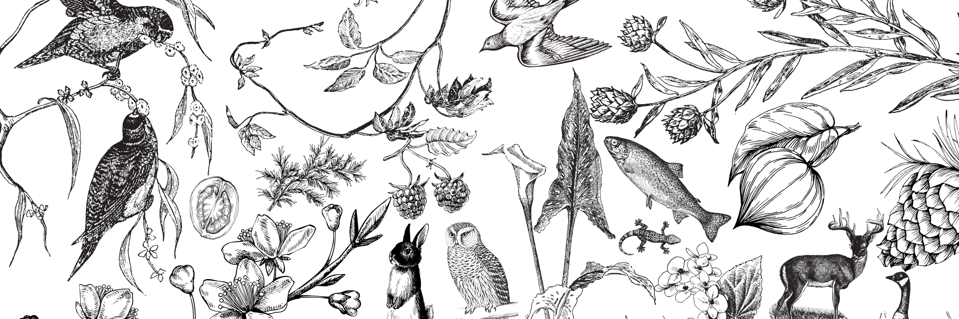 The Wedding Website of Samantha Iseyda Lacombe and Mark Randall Wilson