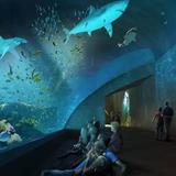 Gran Acuario Mazatlán "Mar de Cortés"