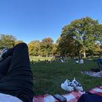Our Favorite Spot in Central Park