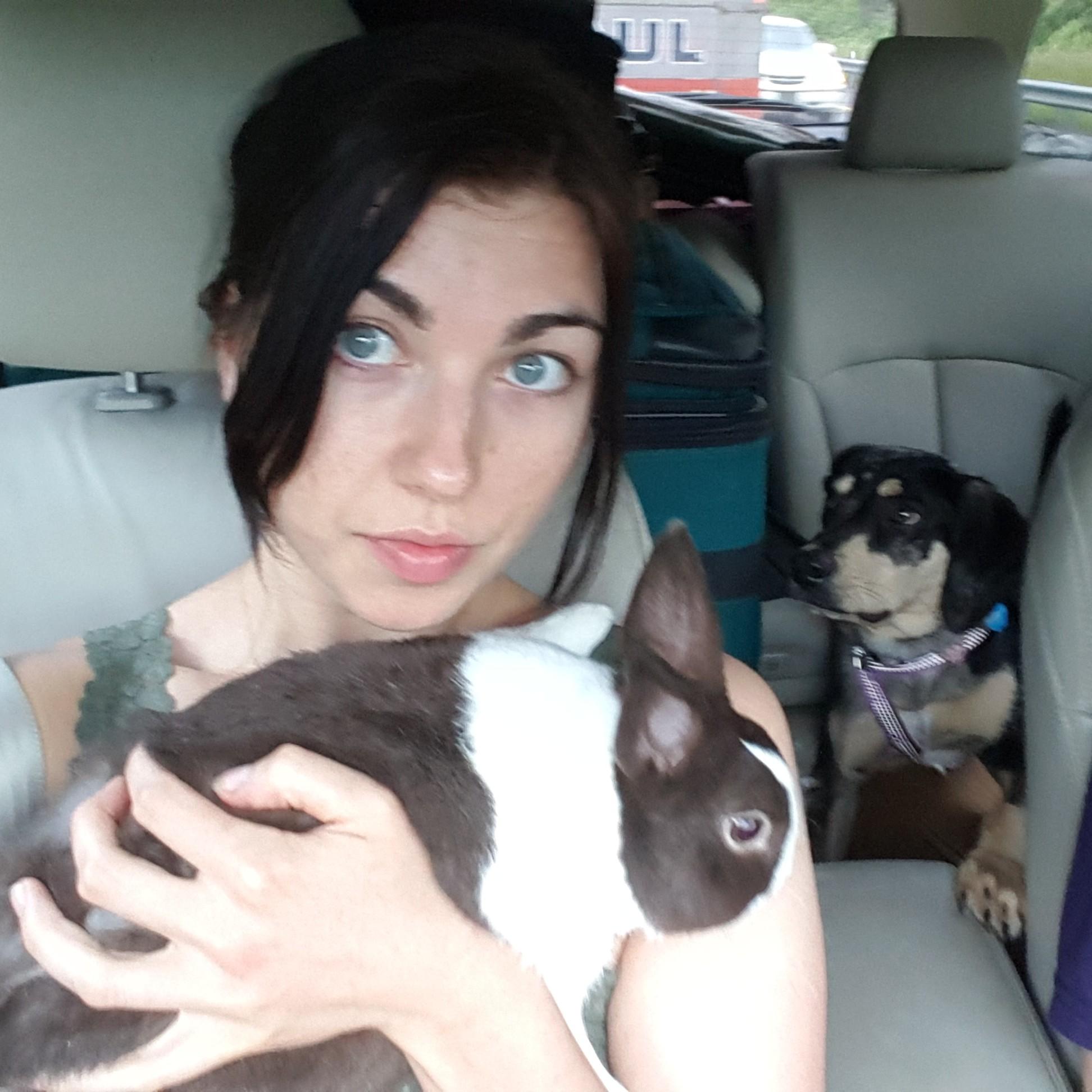 This was taken on the big move from Birmingham to Annapolis  with Mr. Gray and Mila