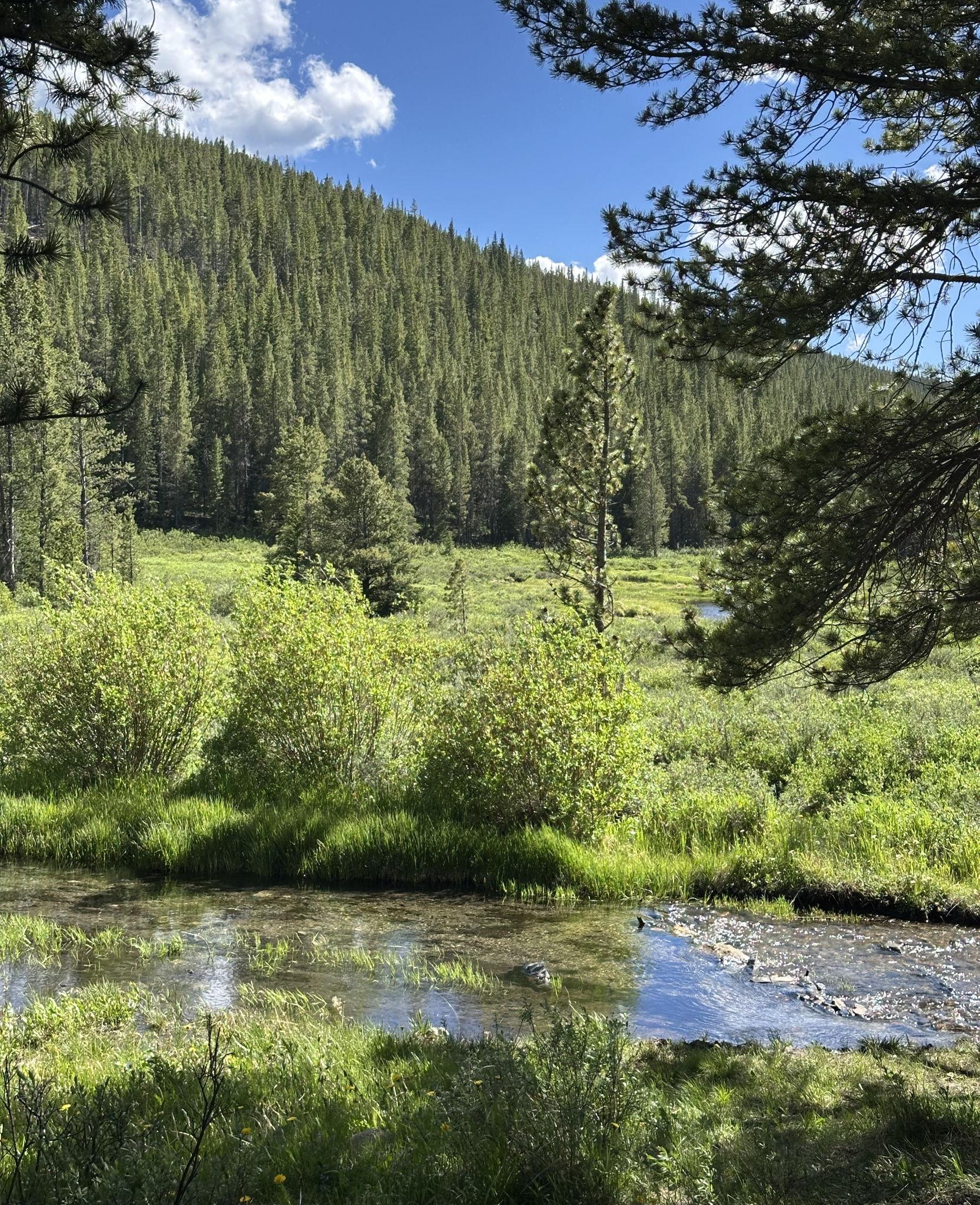 The Wedding Website of Jordan Herren and Aidan Leclercq