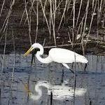 Cooper Springs Nature Park