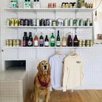 Collect Beer Bar