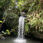 El Yunque National Forest