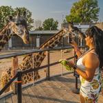 Toledo Zoo & Aquarium