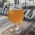 Intracoastal Brewing Company