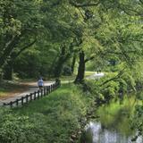 Swamp Rabbit Trail