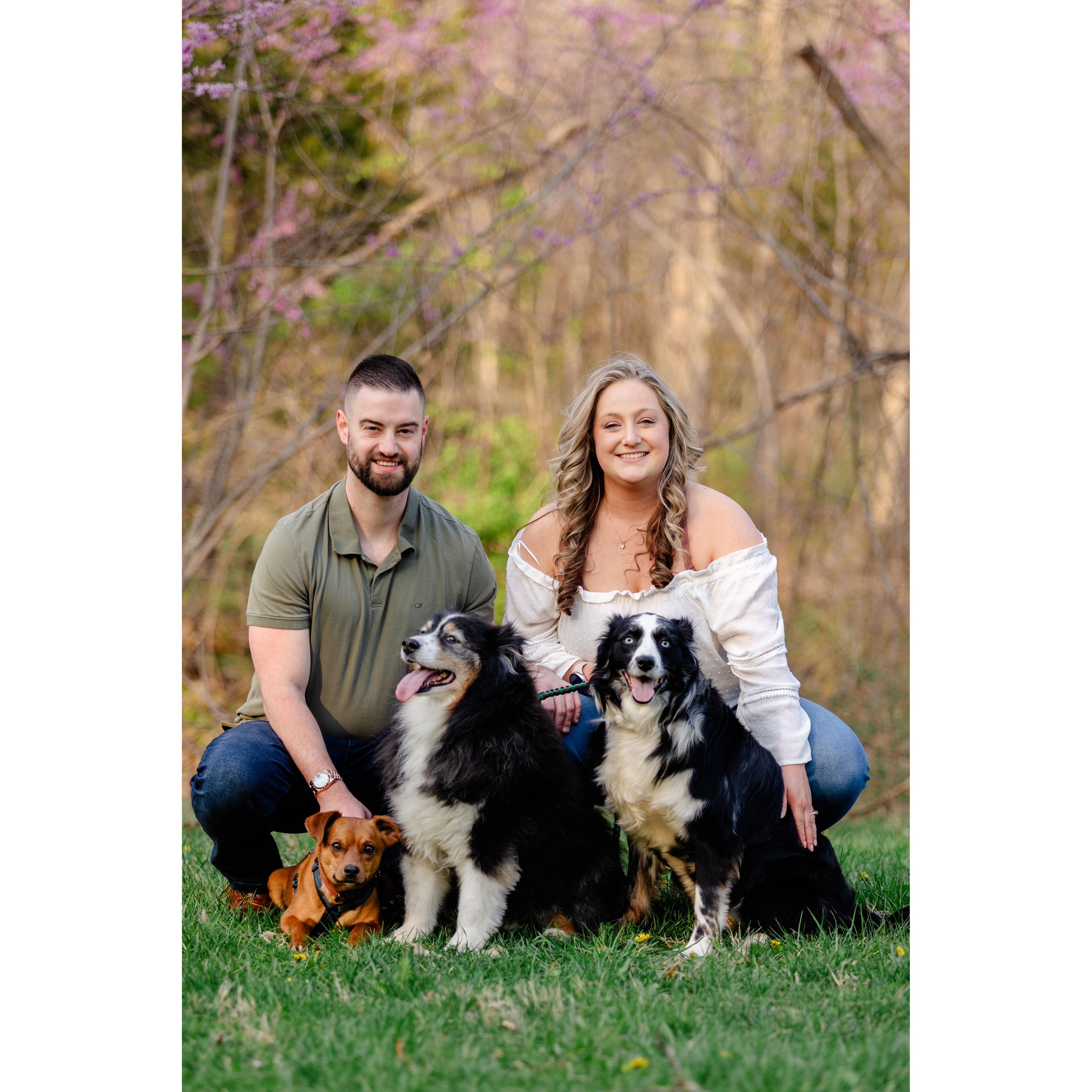 Family Pictured Left to Right: Frank, Lindsey, Avalanche, Bentley, & Dyna.