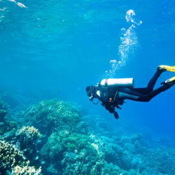 Scuba Diving trip in Hawaii