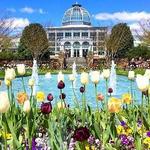 Lewis Ginter Botanical Garden