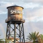 Disney Springs Town Center