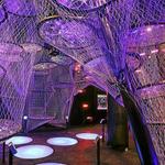 The Franklin Institute