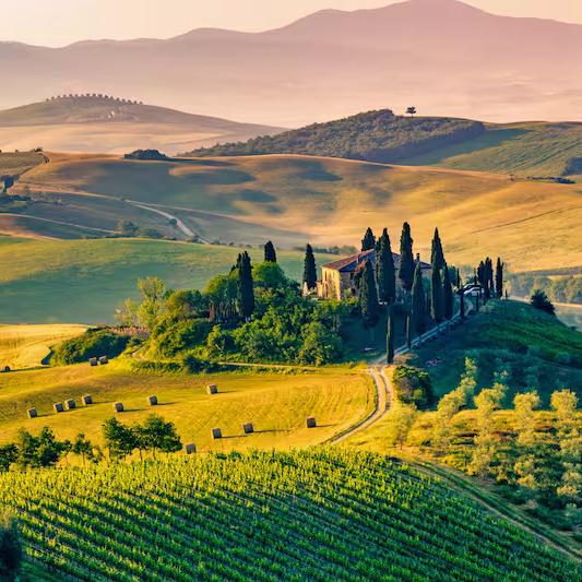 Tuscany Cooking Class & Wine Tasting