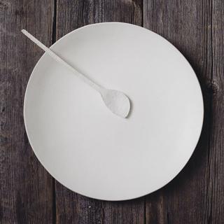 Large Shallow Bowl