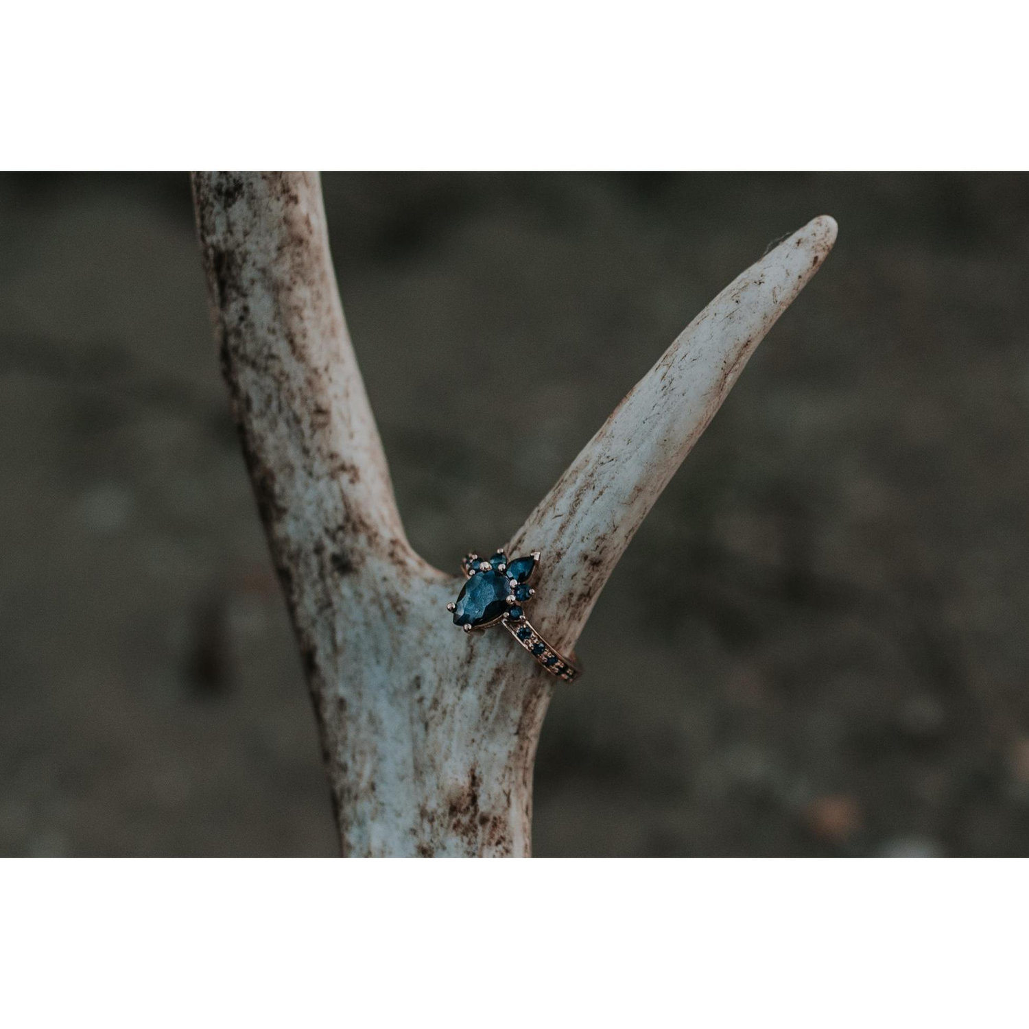 The ring: sapphires set in rose gold