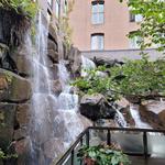 Waterfall Garden