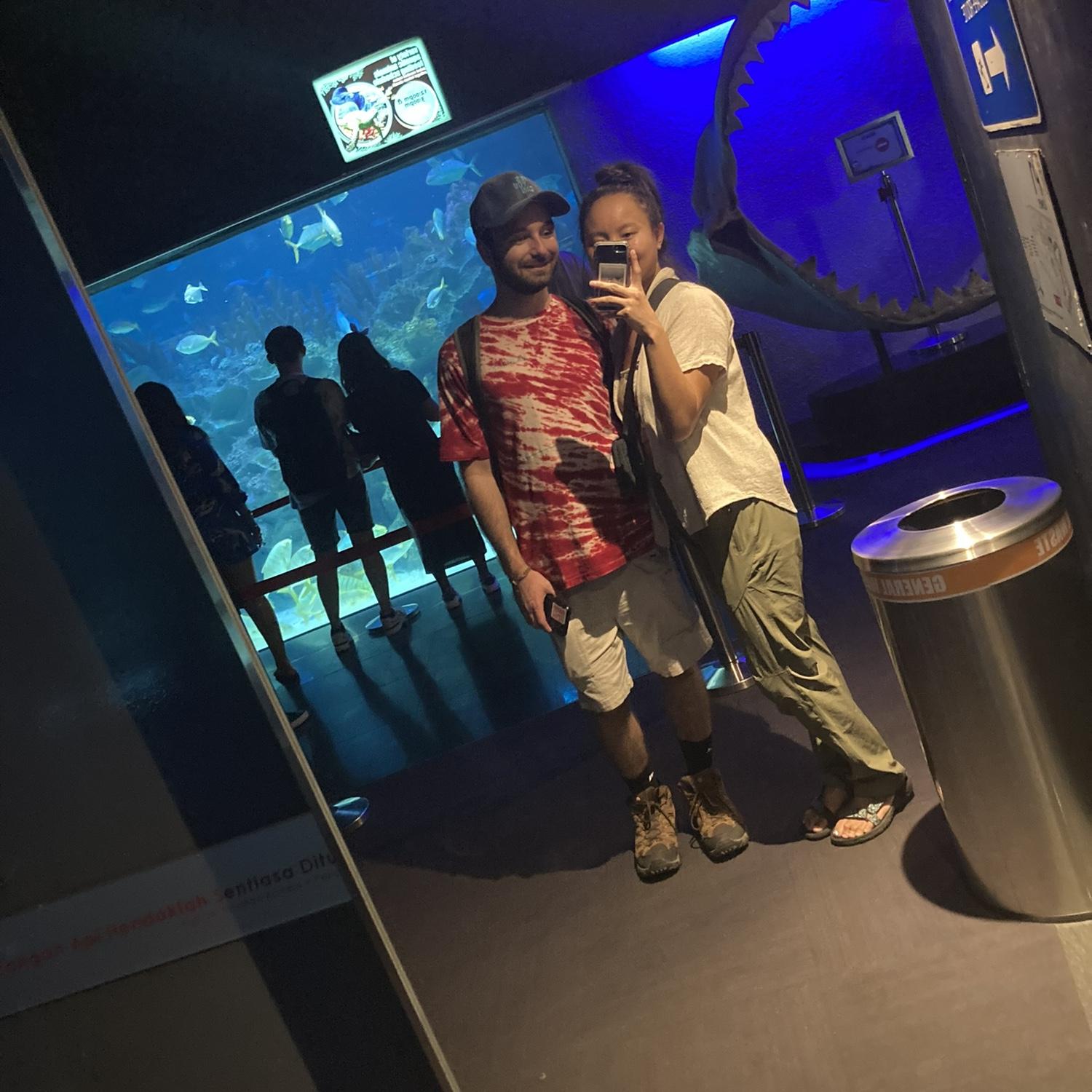 We got to see a shark feeding