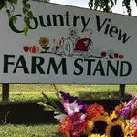 Country View Farm Stand