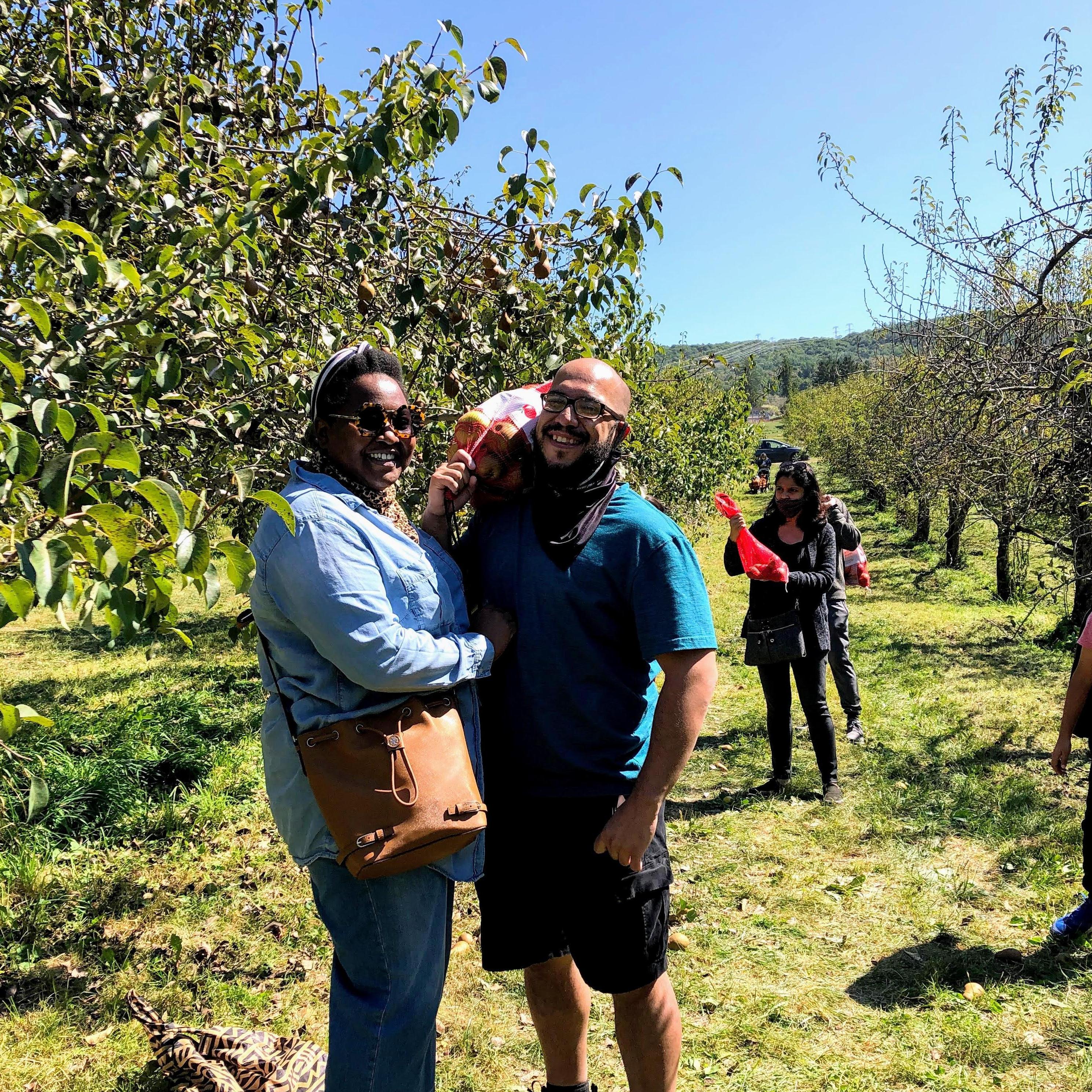Apple picking