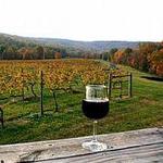 Virginia Wineries