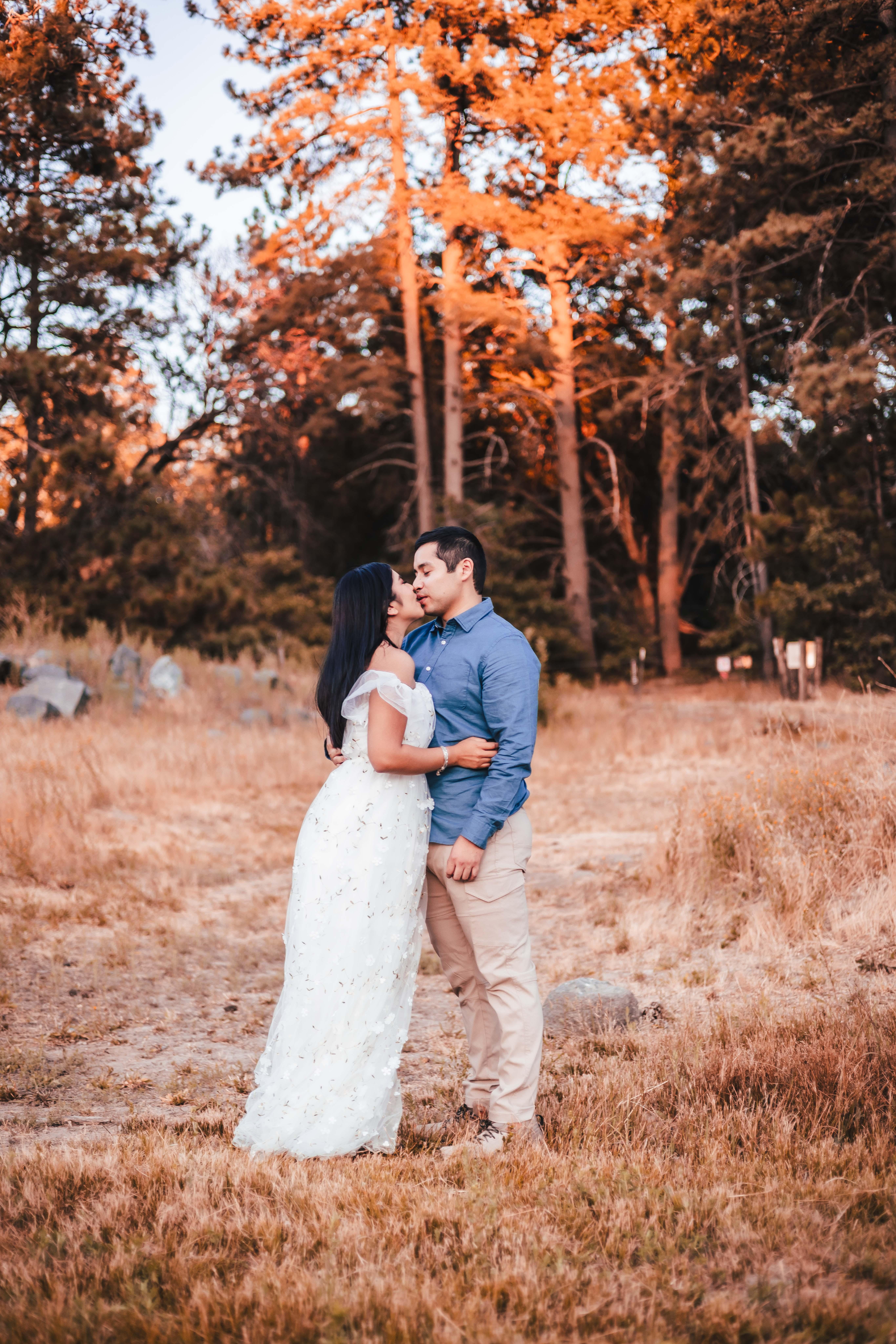 01f2db89-1399-47a7-941a-cd06fc82b901