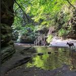 Matthiessen State Park