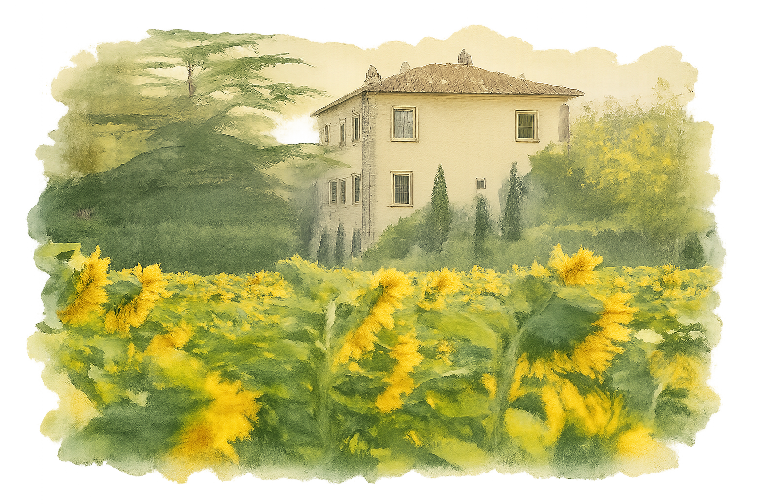 The Wedding Website of Samantha Kaitlin Abramovich and Joshua Cole Taylor