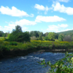 Robert V Ridell State Park