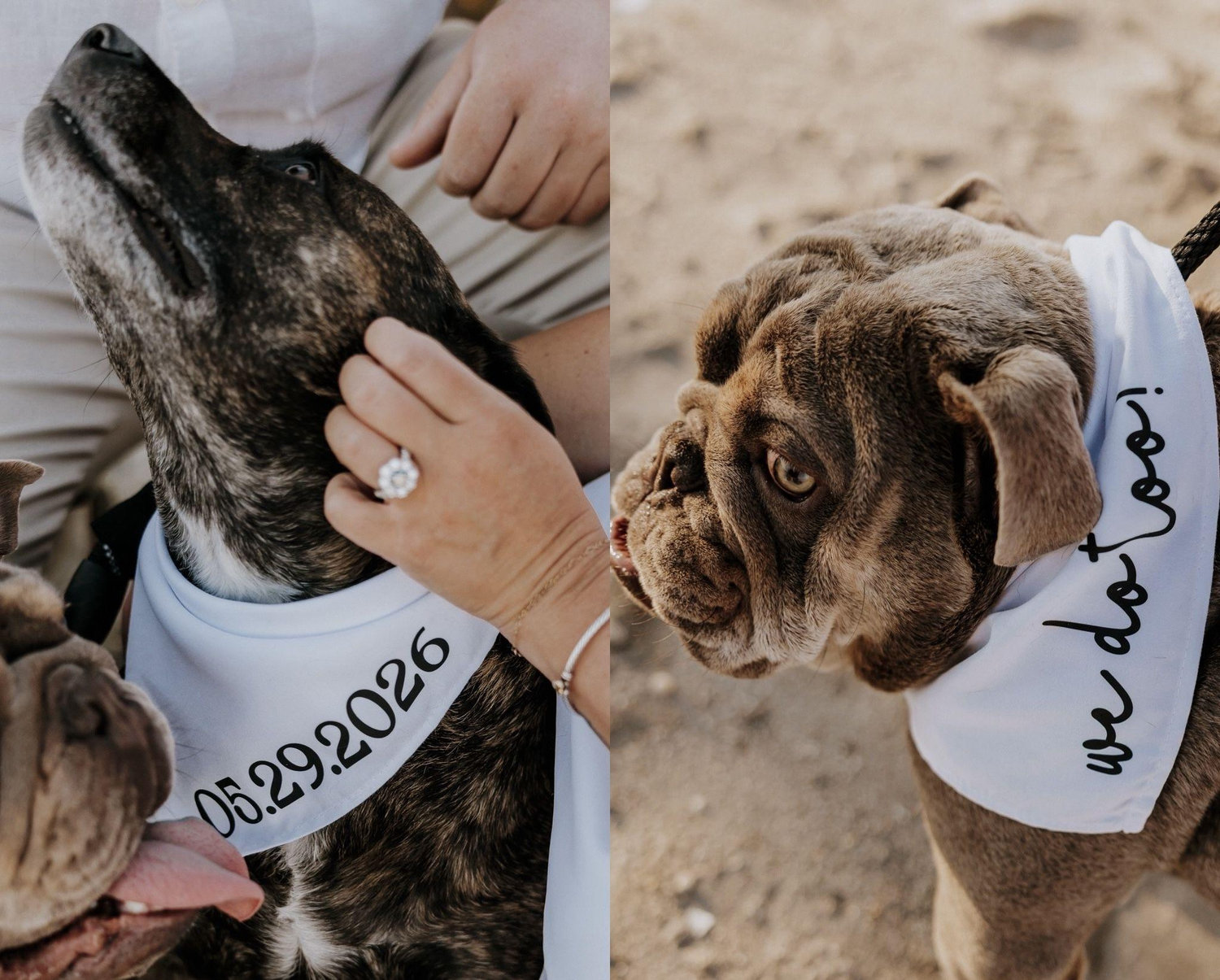 The Wedding Website of Brianna Ottati and Tyler Erhardt