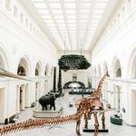 Field Museum