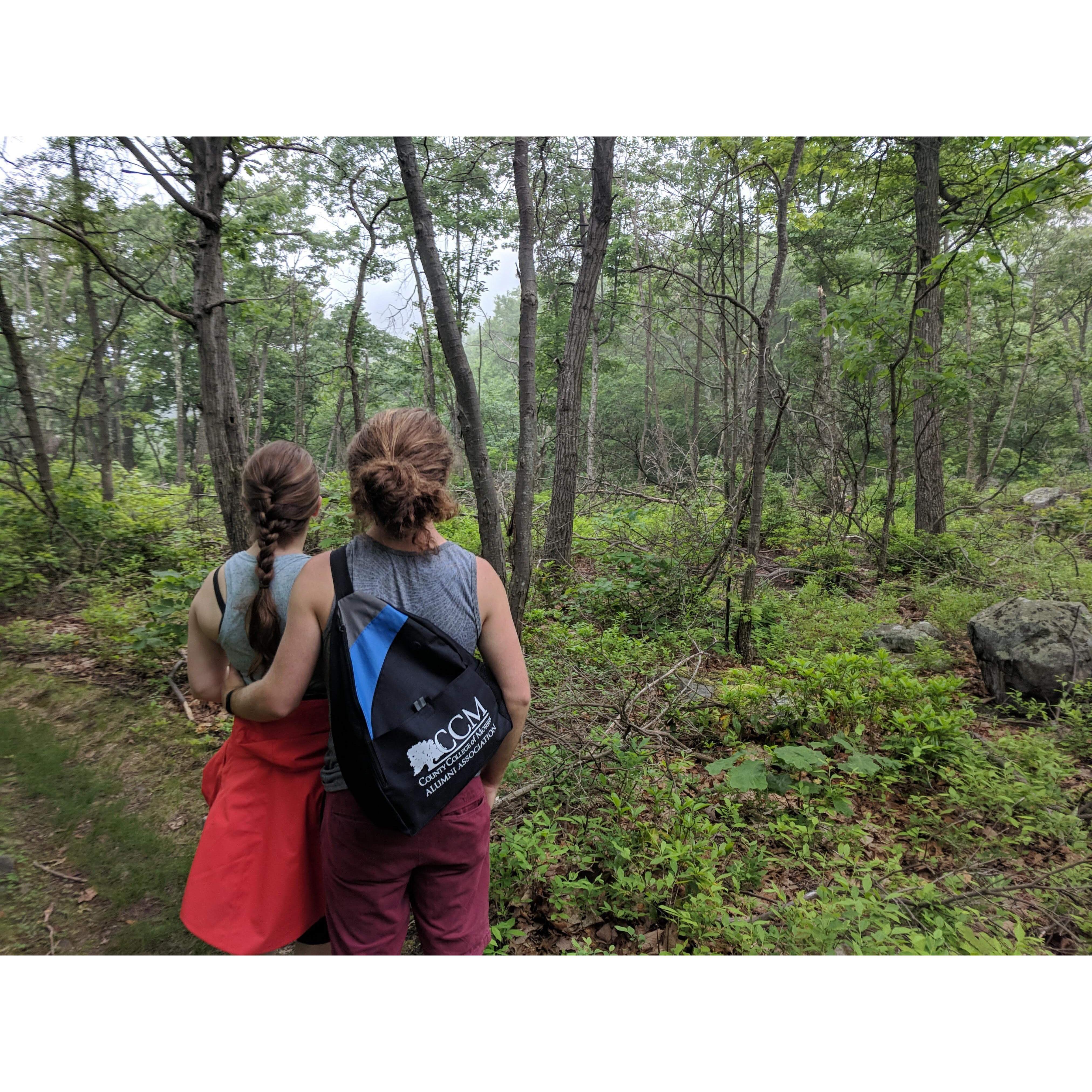 Hiking in northern NJ, June 2018.