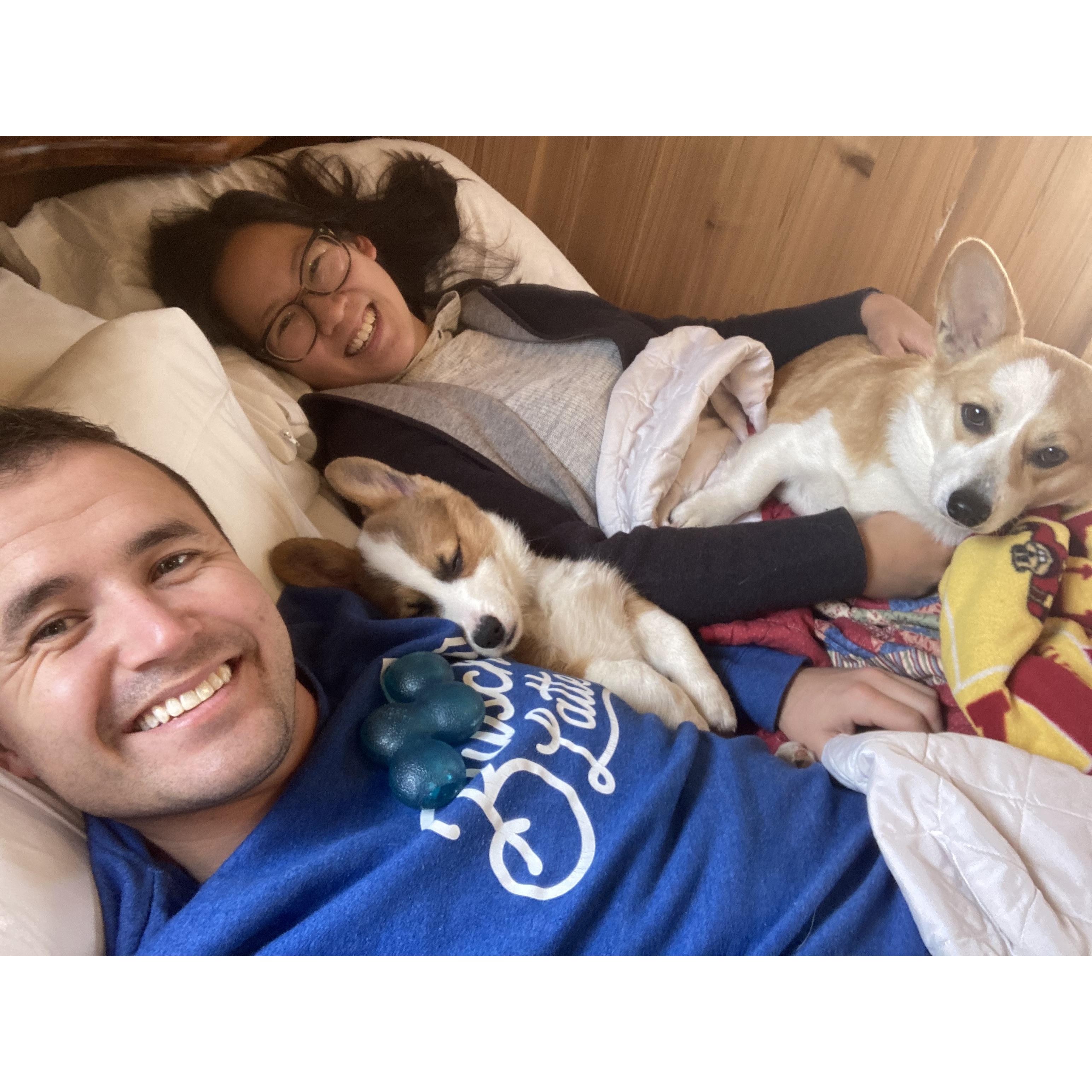 Hunkering down and snuggling with the puppies - Ouray, Colorado
