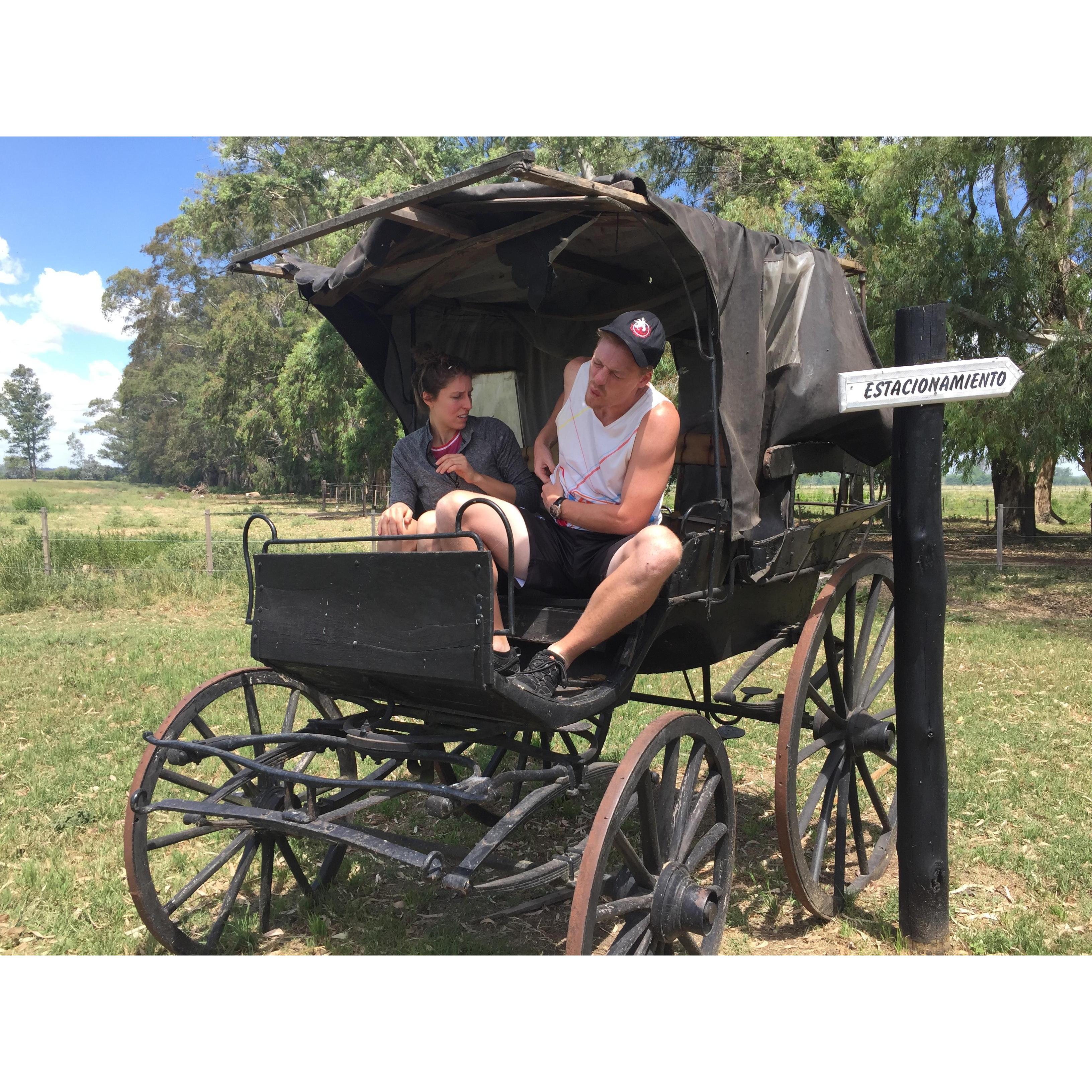 Not just an old stagecoach, turns out, but home to a nest of bees. Eric learned the hard way