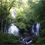 Anna Ruby Falls