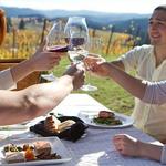 Experience Willamette Valleys Best Wine Tasting Spots