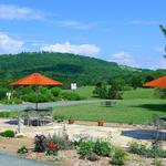 Jefferson Vineyards