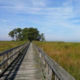 Eastern Neck National Wildlife Refuge