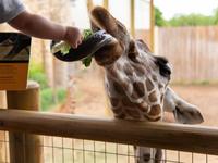 Abilene Zoological Park