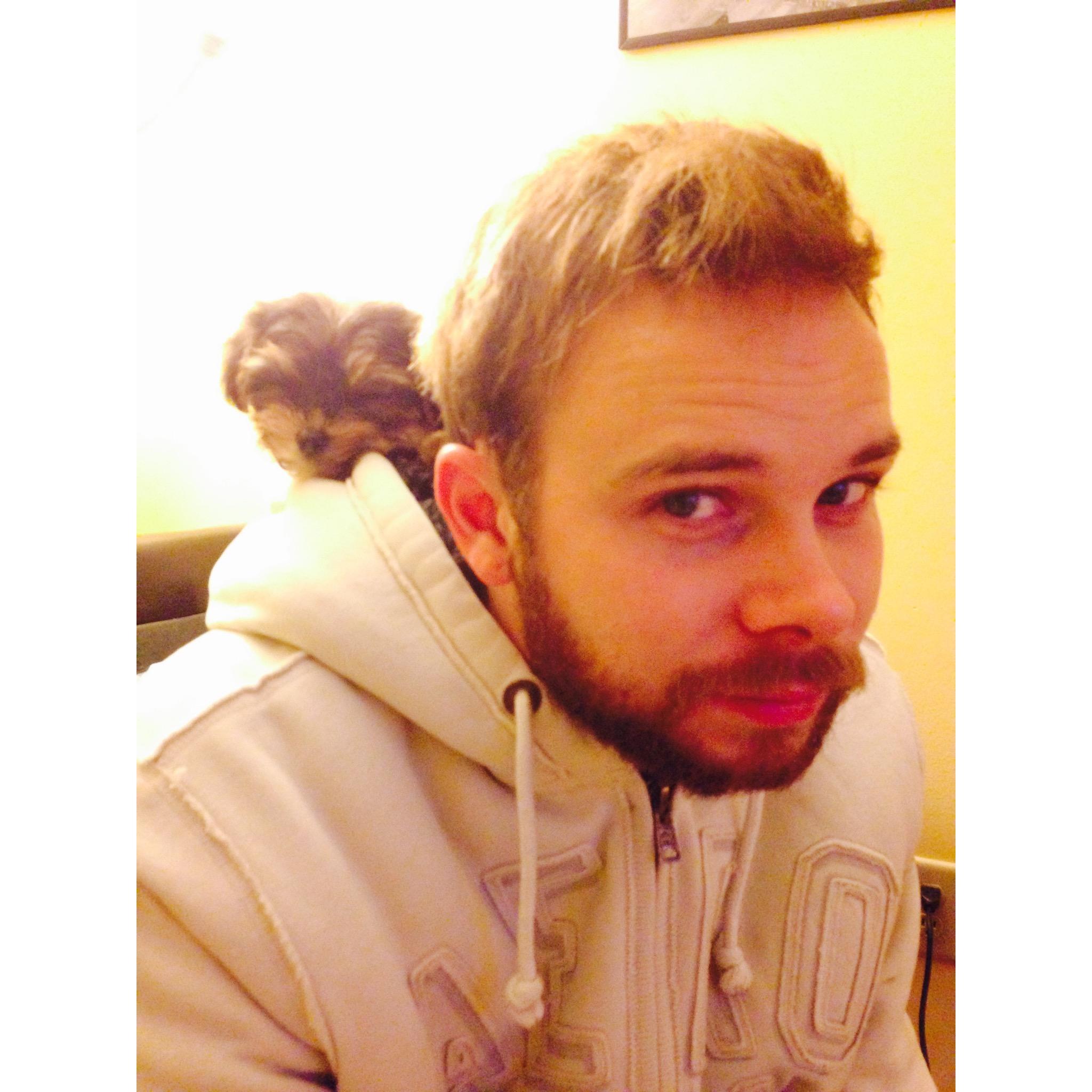 When we first got little BonBon together