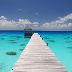 Honeymoon Fund