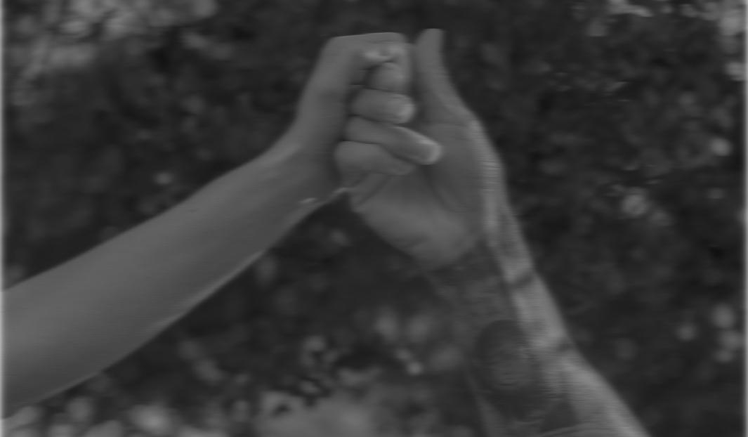 0202c2c9-1e18-47a1-82ef-015d3251218a