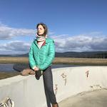 Oysterville Sea Farms