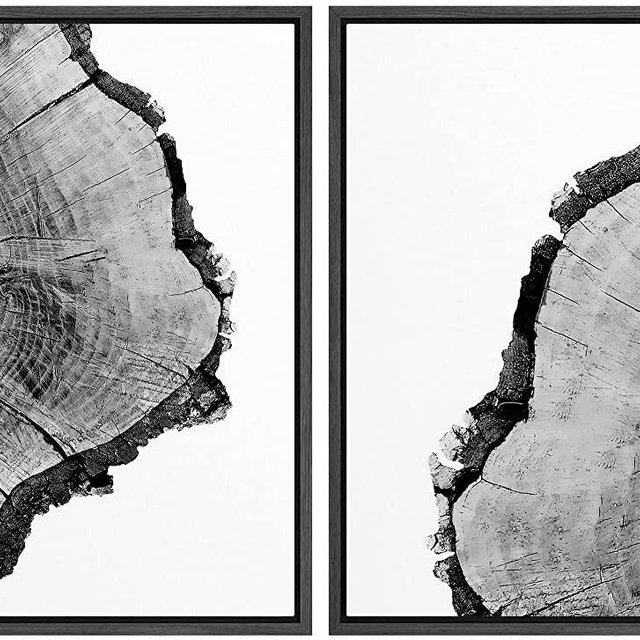 SIGNWIN Framed Wall Art Print Set Black & White Close Up Tree Ring Details Nature Wilderness Photography Modern Art Rustic Relax/Calm Multicolor for Living Room, Bedroom, Office - 16"x24"x2 Black