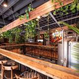 Young Blood Beer Company - King Street